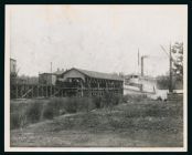 Steamer OLIVE at Tunis Wharf
